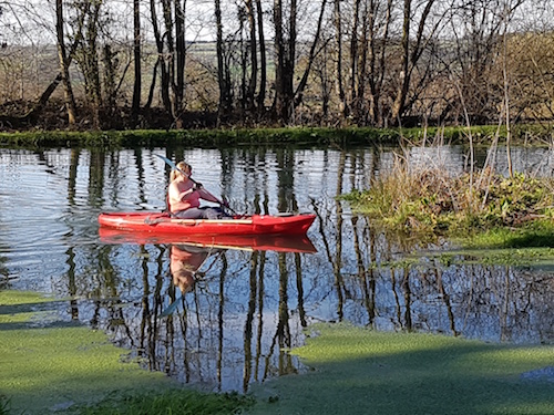 https://www.dolcoed.co.uk/wp-content/uploads/2016/09/Dolcoed-Naturist-Camp-Site-Carmarthenshire.jpg