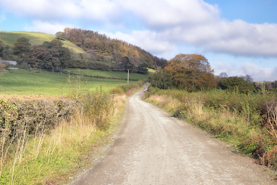 Dolcoed Carmarthenshire